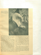 Volksfreund 19380226 Seite: 15