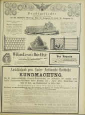 Wiener Salonblatt 18840316 Seite: 13