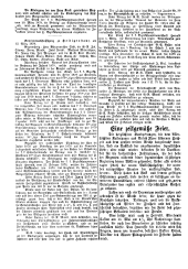 Wiener Vororte-Zeitung 18790501 Seite: 4