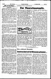(Neuigkeits) Welt Blatt 19380213 Seite: 11