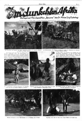 Wiener Bilder 19290113 Seite: 12