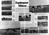 Wiener Bilder 19380130 Seite: 7