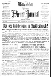 Neues Wiener Journal 19180207 Seite: 11