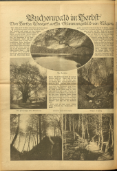 Volksfreund 19261106 Seite: 10