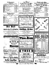 Neues Fremden-Blatt 18680129 Seite: 8