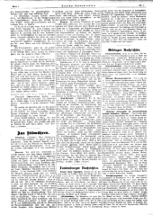 Deutsches Südmährerblatt 19130127 Seite: 4