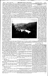 Forst-Zeitung 19130131 Seite: 3