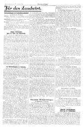 Vorarlberger Volksbote 19380129 Seite: 11