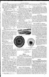 Forst-Zeitung 18830112 Seite: 3