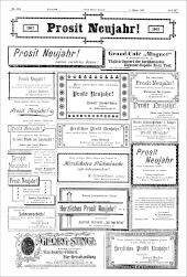 Neues Wiener Journal 19030101 Seite: 29