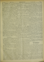 Deutsches Volksblatt 19021220 Seite: 7