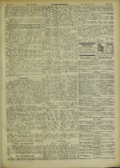 Deutsches Volksblatt 19021220 Seite: 19