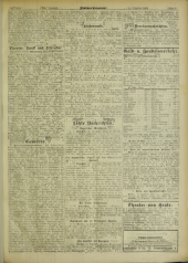 Deutsches Volksblatt 19021220 Seite: 25