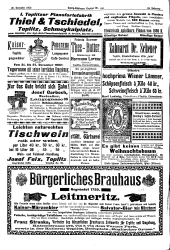 Teplitz-Schönauer Anzeiger 19021220 Seite: 28
