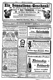 Wiener Sonn- und Montags-Zeitung 19021222 Seite: 13