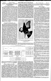 Forst-Zeitung 19021226 Seite: 4