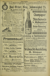 Grazer Tagblatt 19021221 Seite: 25