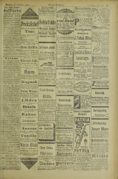 Grazer Tagblatt 19021221 Seite: 33