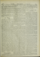 Deutsches Volksblatt 18951127 Seite: 3