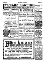 Teplitz-Schönauer Anzeiger 19000630 Seite: 17