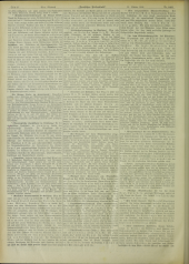 Deutsches Volksblatt 19061031 Seite: 6