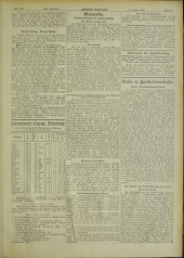 Deutsches Volksblatt 19061031 Seite: 13