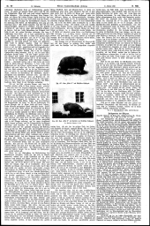 Wiener Landwirtschaftliche Zeitung 19061031 Seite: 3