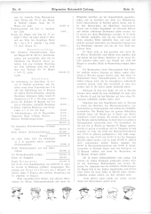 Allgemeine Automobil-Zeitung 19061104 Seite: 15