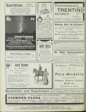 Wiener Salonblatt 19061104 Seite: 24