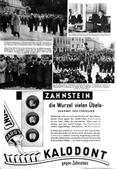 Wiener Bilder 19341104 Seite: 5