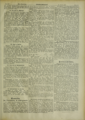 Deutsches Volksblatt 19071024 Seite: 13