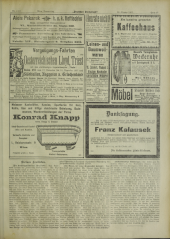 Deutsches Volksblatt 19071024 Seite: 17