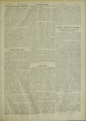 Deutsches Volksblatt 19071024 Seite: 19