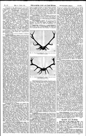 Forst-Zeitung 19071025 Seite: 5