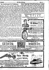 Die neue Zeitung 19071101 Seite: 17