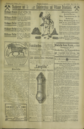 Grazer Tagblatt 19021012 Seite: 17