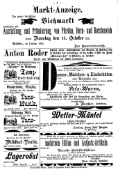 Bludenzer Anzeiger 18951012 Seite: 8