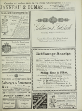 Wiener Salonblatt 18951013 Seite: 13