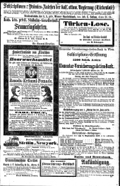 Die Presse 18720907 Seite: 13