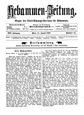 Hebammen-Zeitung