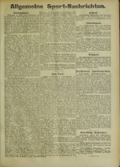 Deutsches Volksblatt 19020813 Seite: 13
