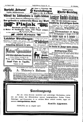 Teplitz-Schönauer Anzeiger 19020813 Seite: 13