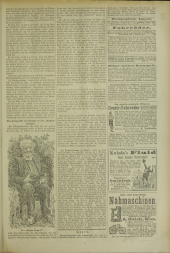 (Neuigkeits) Welt Blatt 19020814 Seite: 33