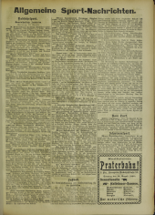 Deutsches Volksblatt 19020809 Seite: 13