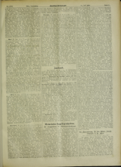 Deutsches Volksblatt 19020731 Seite: 3