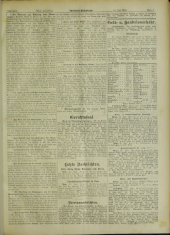 Deutsches Volksblatt 19020731 Seite: 19