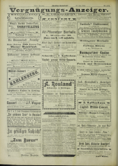 Deutsches Volksblatt 19020727 Seite: 20