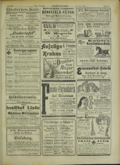 Deutsches Volksblatt 19020727 Seite: 27