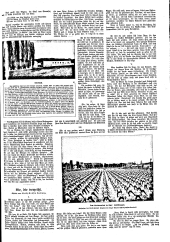 (Linzer) Tages-Post 19020727 Seite: 15