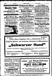 Badener Zeitung 19020730 Seite: 8